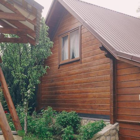 Будиночок В Карпатах Jaremtje Exteriör bild